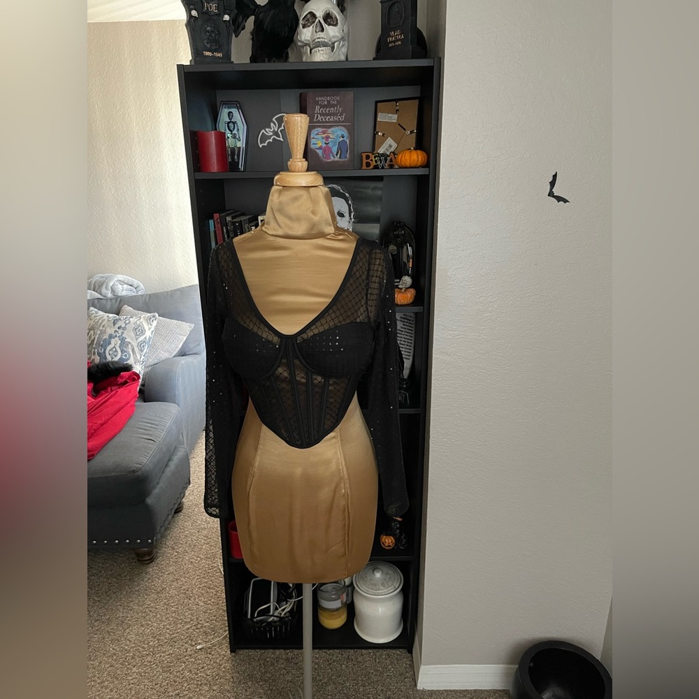 Mesh long sleeve Crop Top .